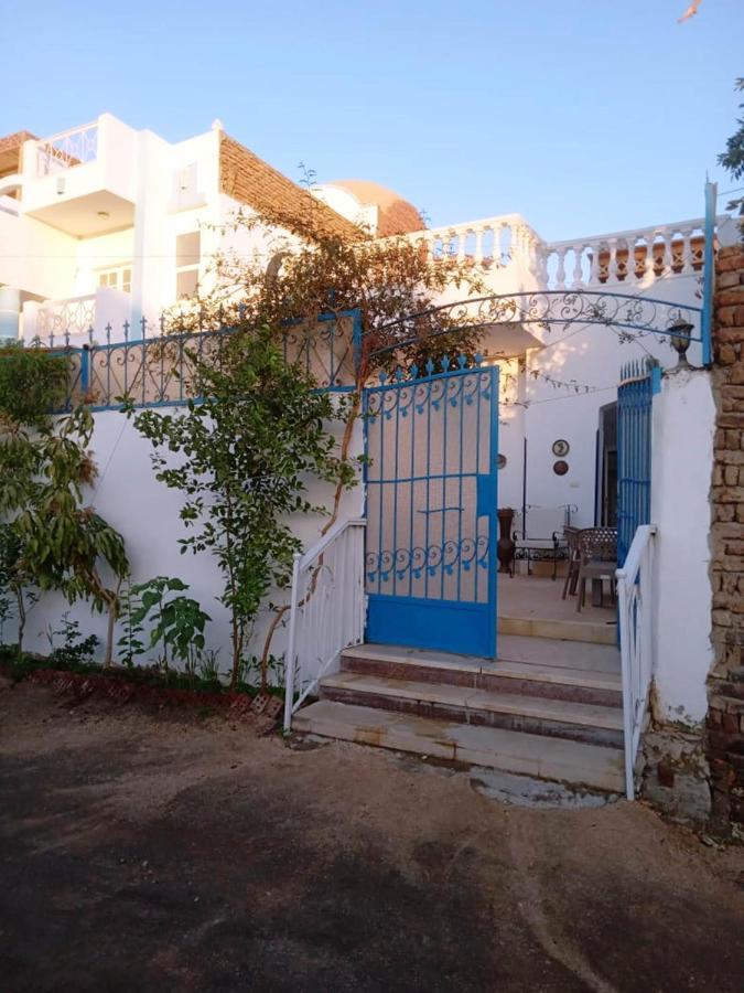 Villa Louise Guest House Luxor Eksteriør bilde