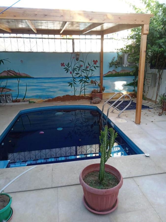 Villa Louise Guest House Luxor Eksteriør bilde